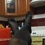 Fetishwhore