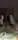 dynamit6666