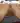 Alesha47