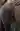 Gudsex555