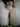 Sergei