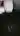 Alexey5398