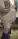 bmpt801980