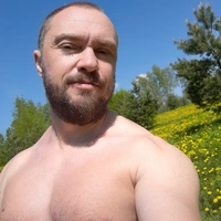 ViT84